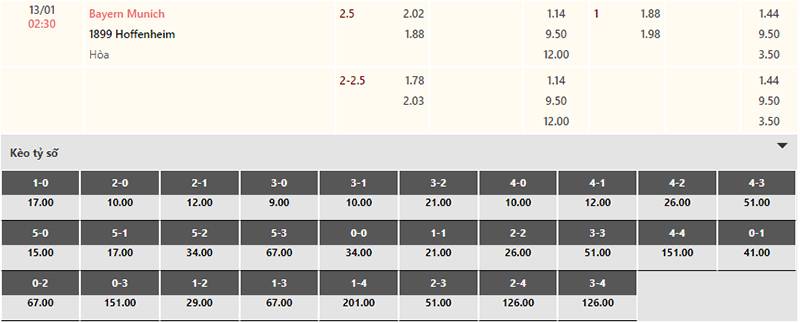 Bảng tỷ lệ kèo Bayern Munich vs Hoffenheim 02h30 ngày 13/1/2024